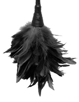 Fetish Fantasy Frisky Feather Duster Black - The Blissful Gypsy -