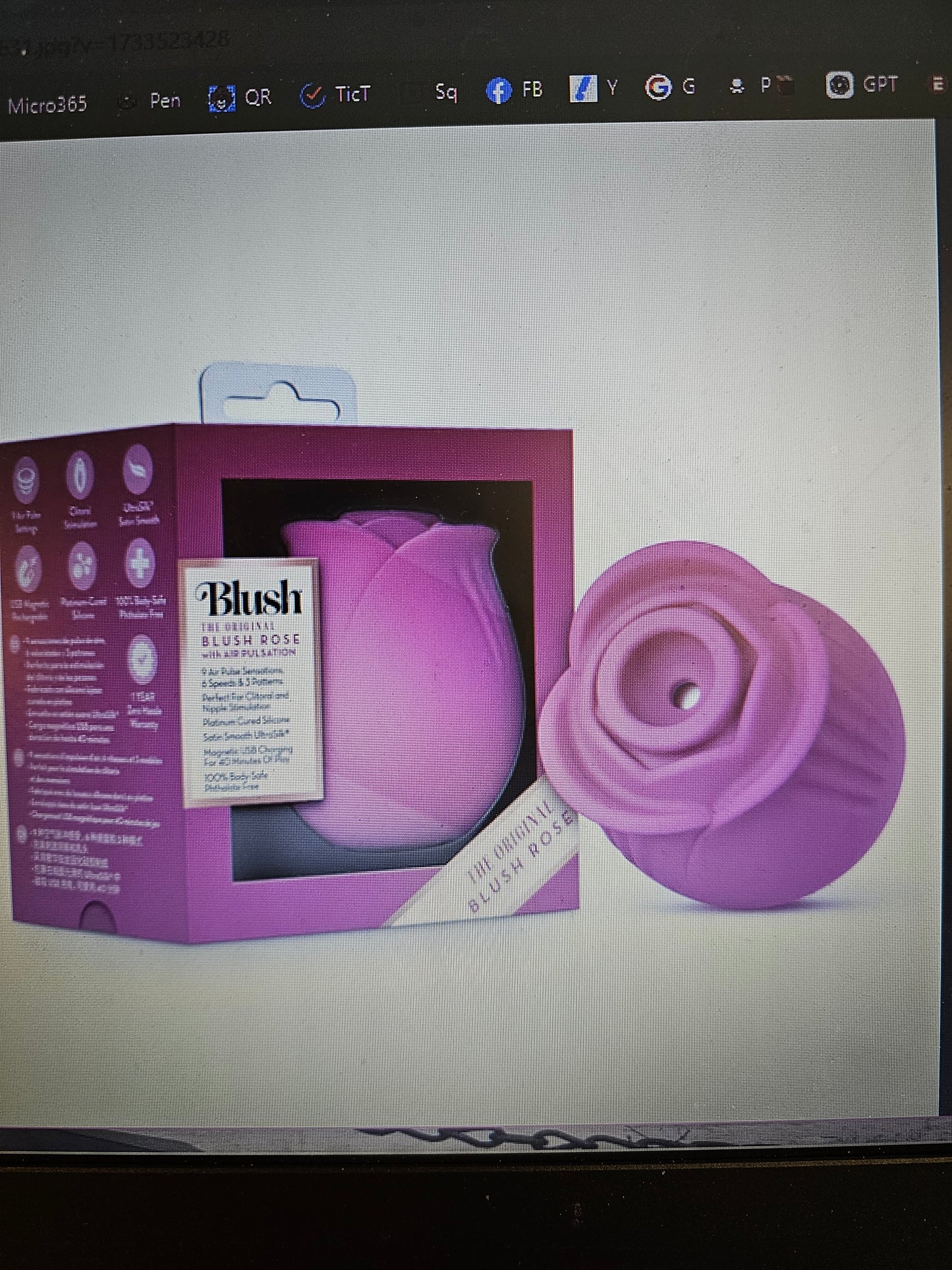 The original blush rose
