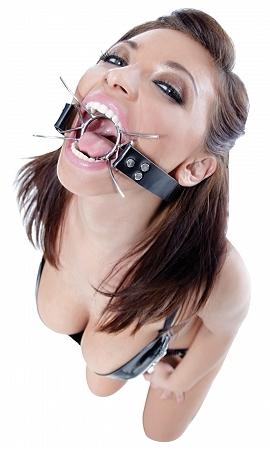 Fetish Fantasy Extreme Spider Gag O/S - The Blissful Gypsy - 